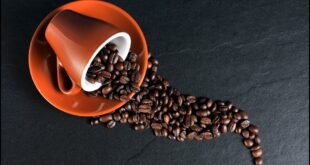 دراسة مكثفة وجدت أن شاربي القهوة من المحتمل أن يعيشوا أكثر من بقية الناس || بقلم: حنان ضياء || موقع مقال