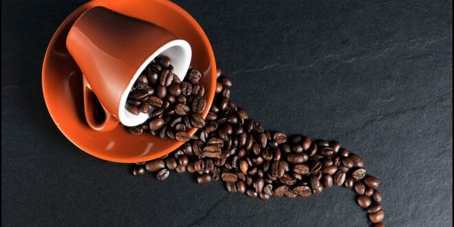 دراسة مكثفة وجدت أن شاربي القهوة من المحتمل أن يعيشوا أكثر من بقية الناس || بقلم: حنان ضياء || موقع مقال